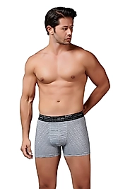 Gümüş 3114 Erkek Likralı Çizgili Boxer Gri
