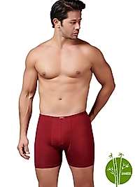 Gümüş İç Giyim 8007 Bambu İnce Bel Elastan Boxer