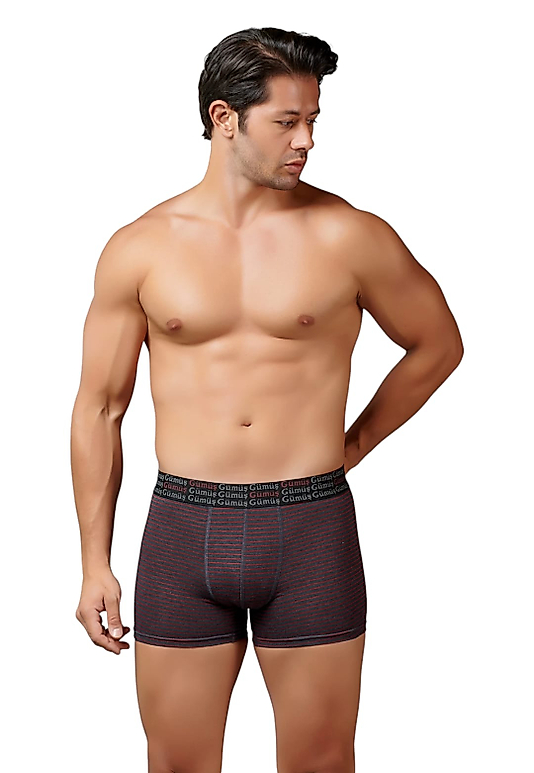 Gümüş 3114 Erkek Likralı Çizgili Boxer Antrasit 6 lı Paket