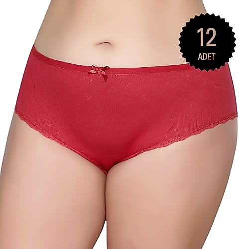 Gümüş 3079 Kadın Jakarlı Yüksel Bel Bato Külot Bordo 12 li Paket