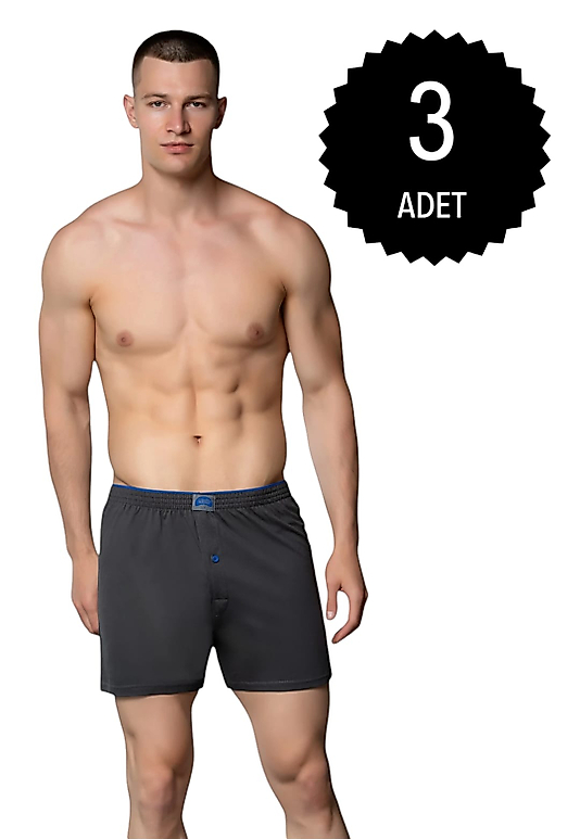 Gümüş 4020 Erkek Penye Havlu Bel Düz Boxer Füme 3 lü Paket