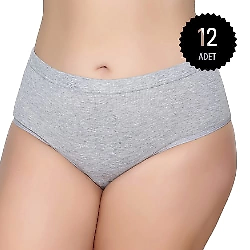 Gümüş 3041 Kadın Yüksek Bel Ribana Bato Külot Gri 12 li Paket