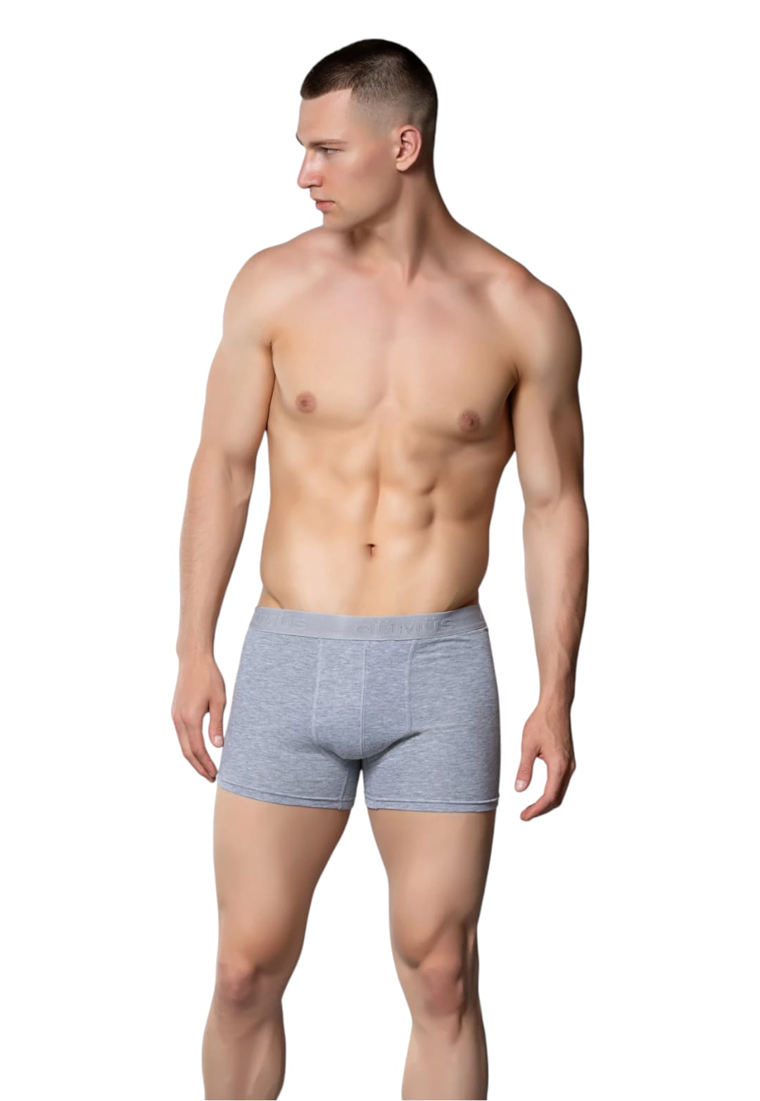 Gümüş 4018 Erkek Likralı Boxer Gri