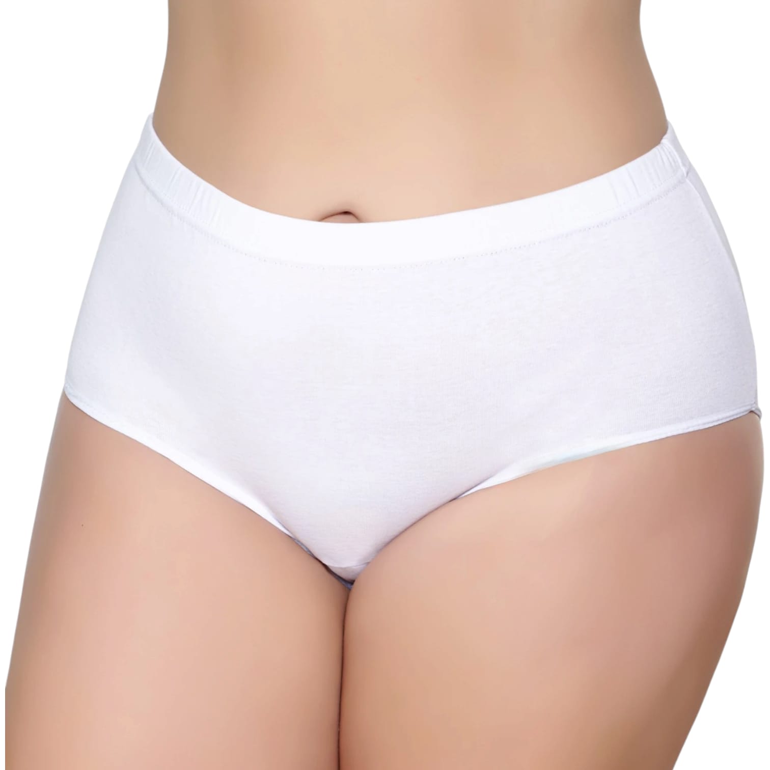 Gümüş 3040 Kadın Yüksek Bel Ribana Bato Külot Beyaz 6 lı Paket