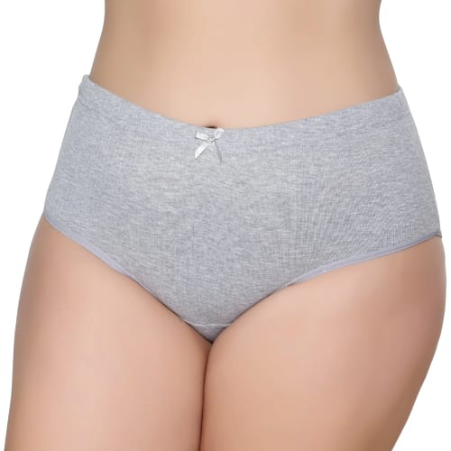 Gümüş 3092 Kadın Yüksek Bel  Çizgili ( Fitilli ) Bato Külot Gri 6 lı Paket