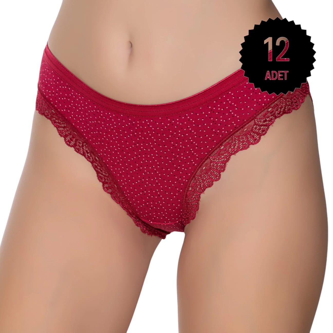 Gümüş 6066 Kadın Likralı Paça Dantelli Puantiyeli Bikini Karışık 12 li Paket