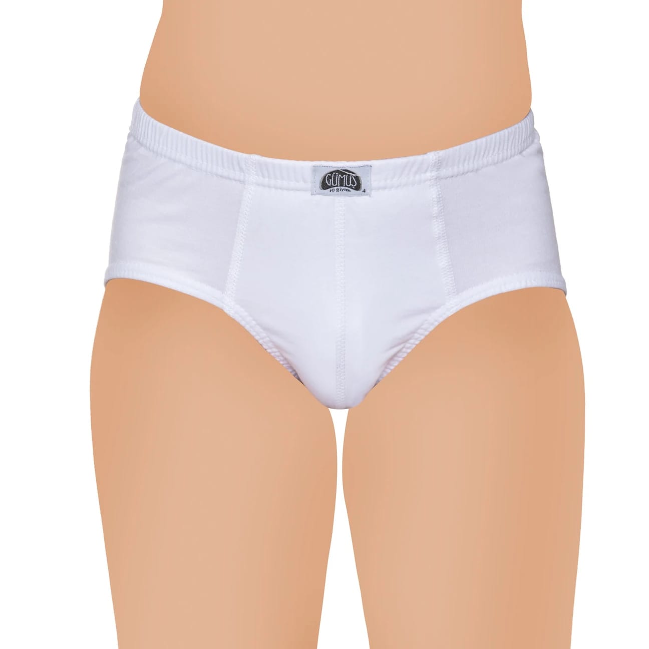 Gümüş 3032 Erkek Çocuk Penye Slip Külot 6 lı Paket