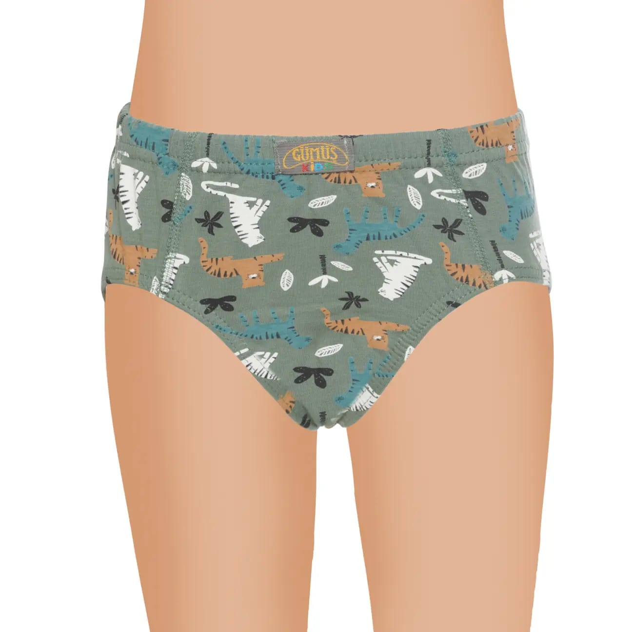 Gümüş 3090 Erkek Çocuk Likralı Empirme Slip Külot Karışık 6 lı Paket