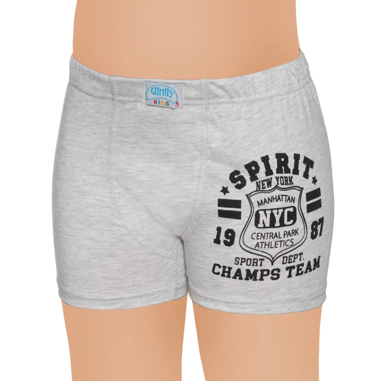 Gümüş 3110 Erkek Çocuk Likralı Baskılı Boxer Karışık 6 lı Paket